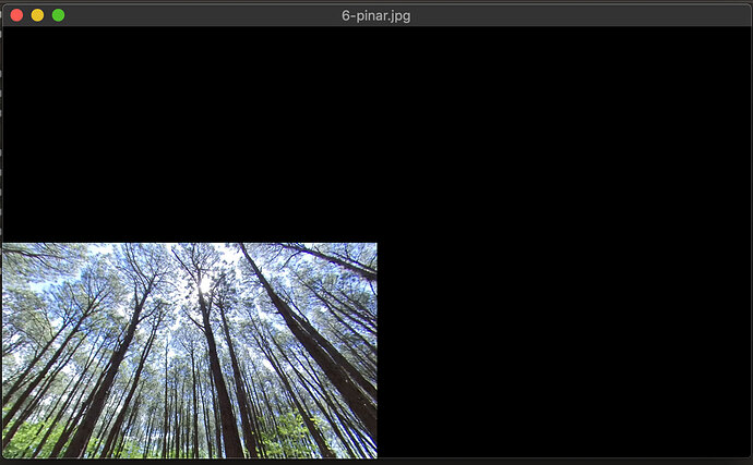 PTGui-viewer